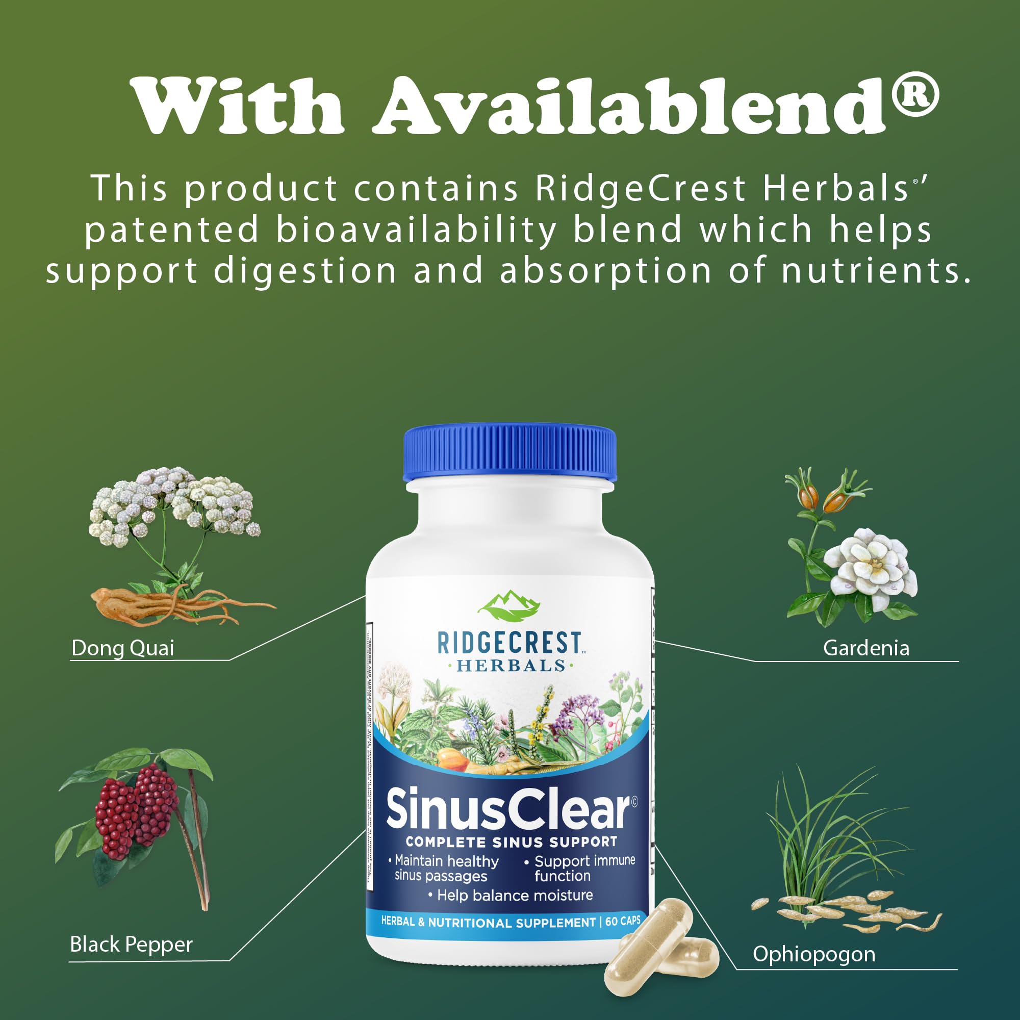 RidgeCrest Herbals botella y caja apiladas mostrando presentación y seguridad del producto