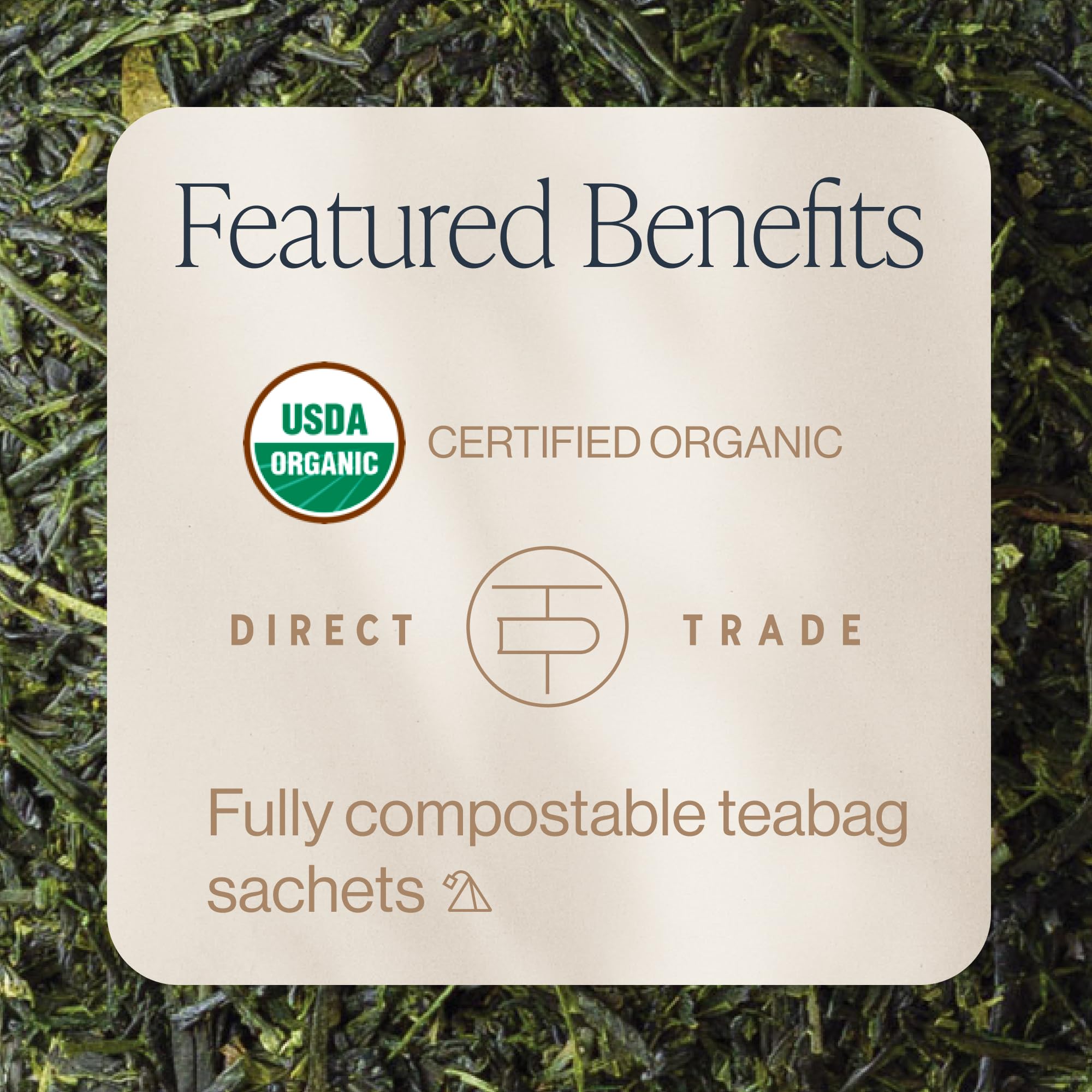 Rishi Tea detalle del saquito sin BPA con filtrado limpio y textura