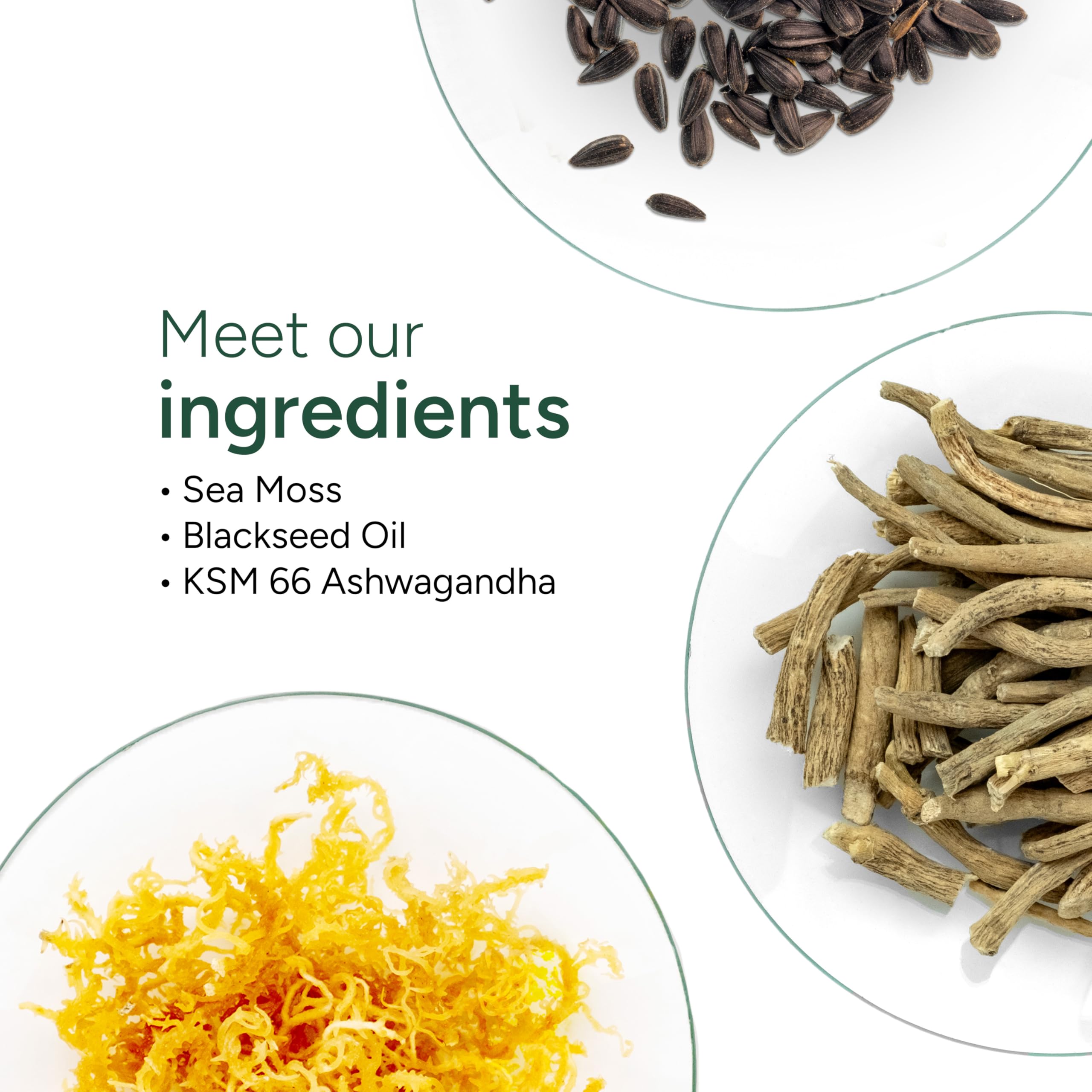 Close-up de textura de gominola ROOT LABS que evidencia suavidad y textura masticable