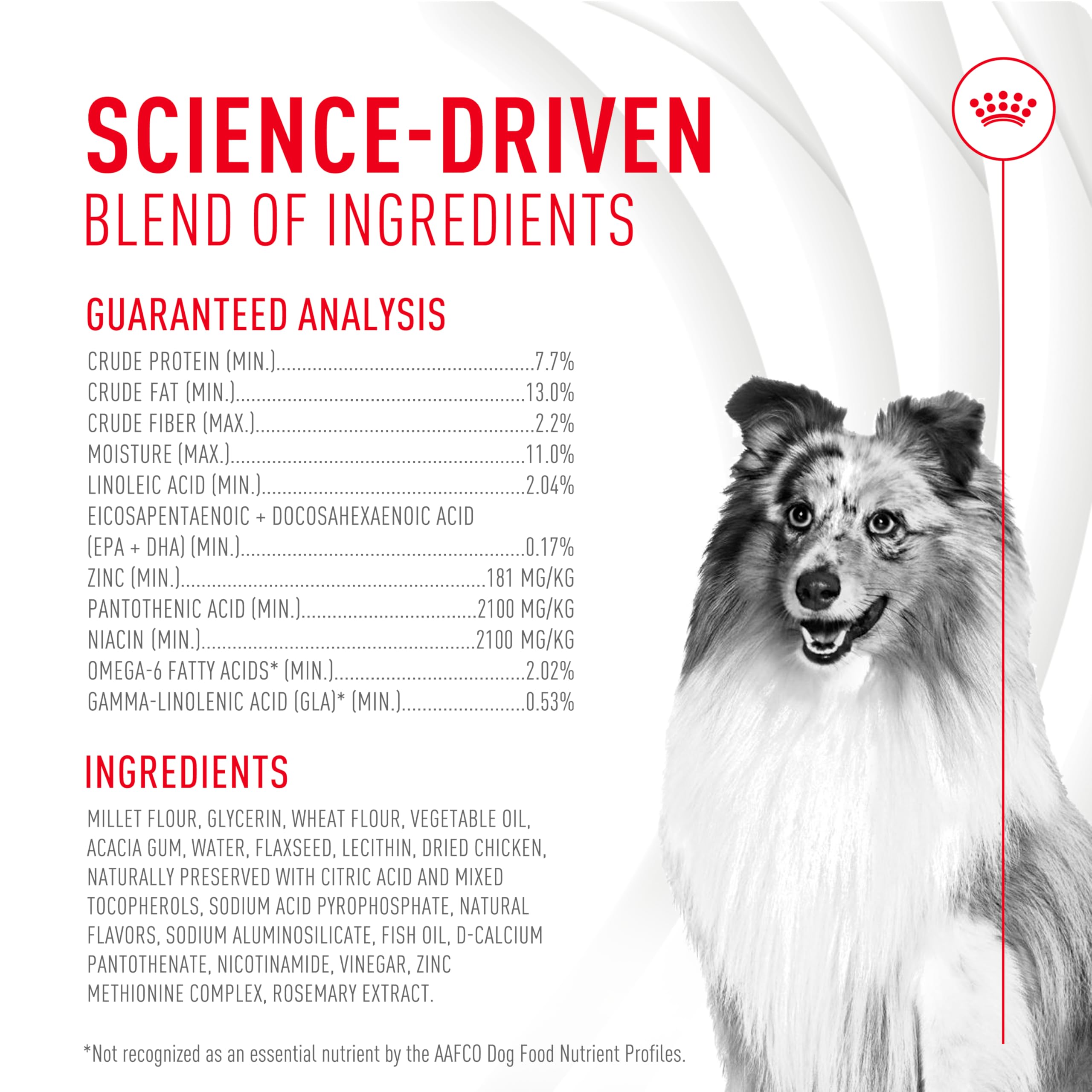 ROYAL CANIN etiqueta con ingredientes destacando ácidos grasos y zinc beneficiosos
