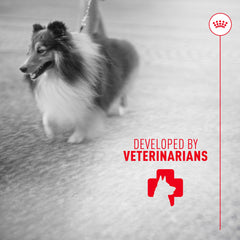 ROYAL CANIN escena doméstica con producto y perro, apoya rutina de cuidado