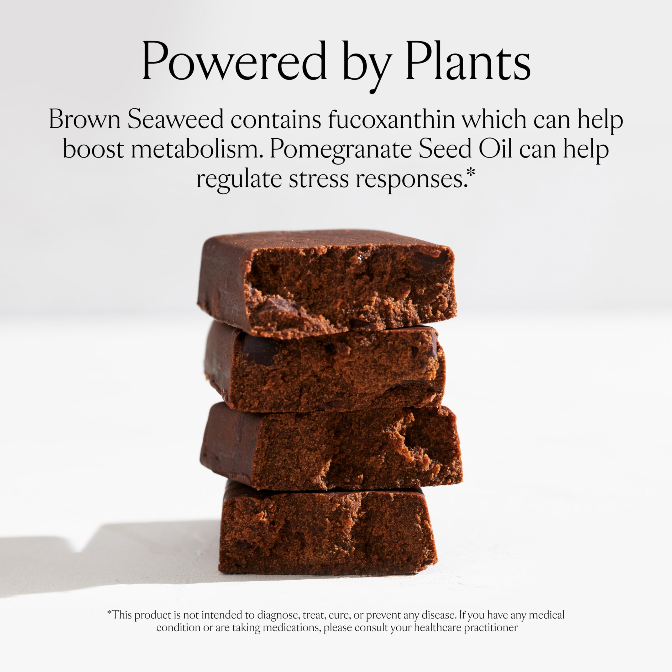 SAKARA textura cercana del chocolate y nueces para apreciar ingredientes