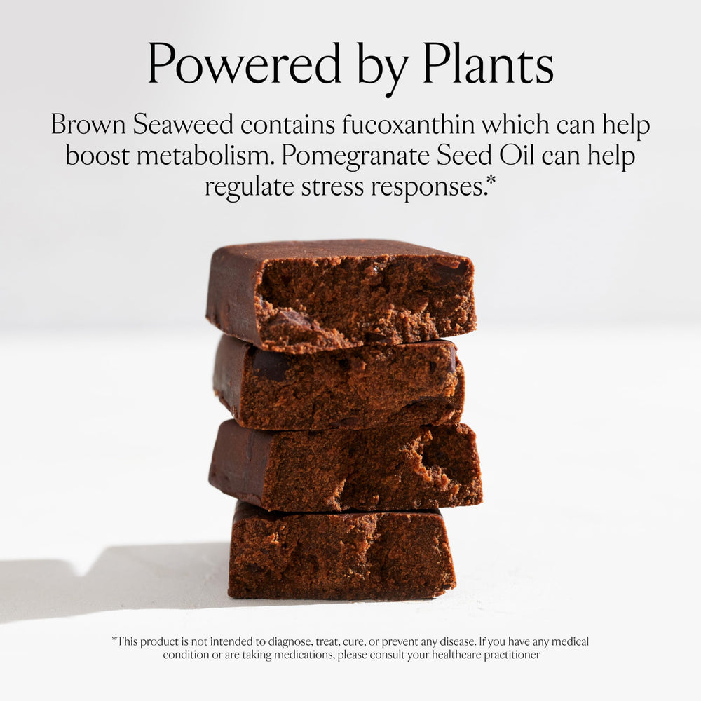 SAKARA textura cercana del chocolate y nueces para apreciar ingredientes