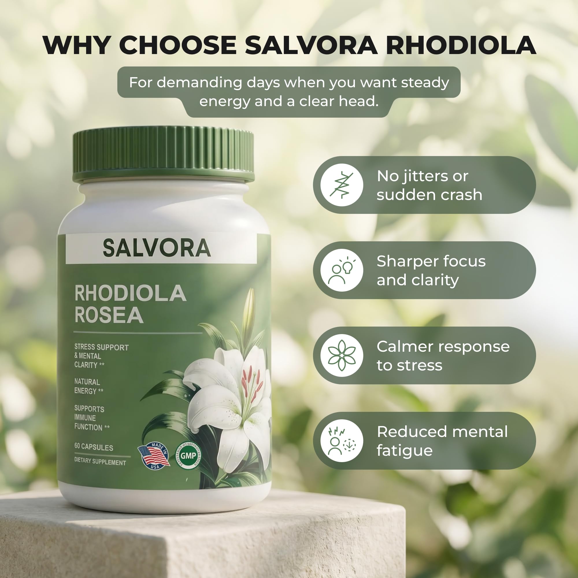 Salvora muestra polvo de raíz de rhodiola y beneficio de extracto estandarizado