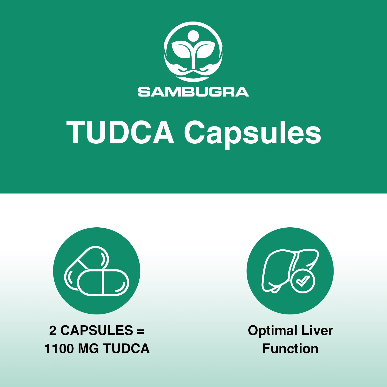 Sambugra primer plano de cápsula mostrando superficie lisa y tamaño