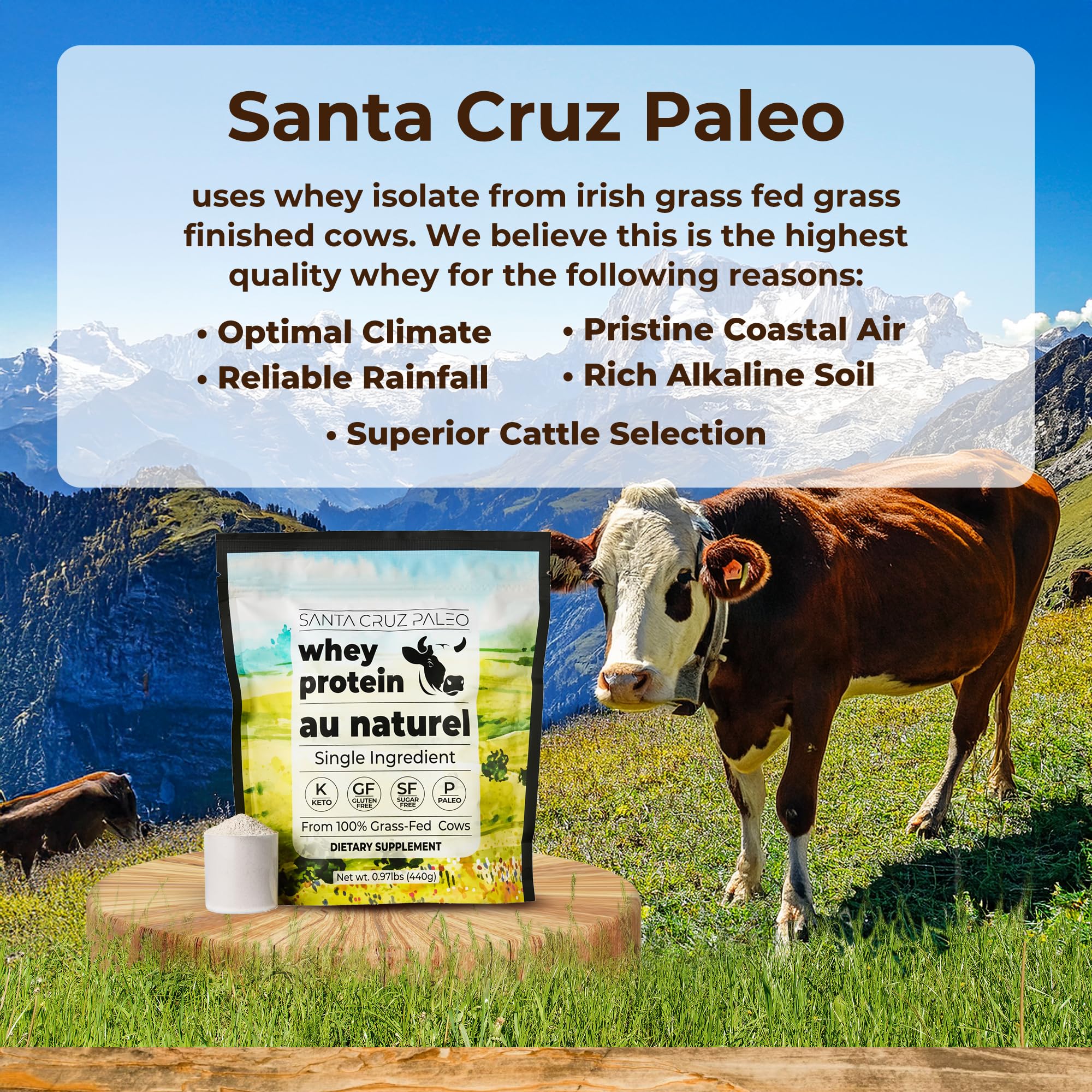 Santa Cruz Paleo batido matutino en mano para energía práctica
