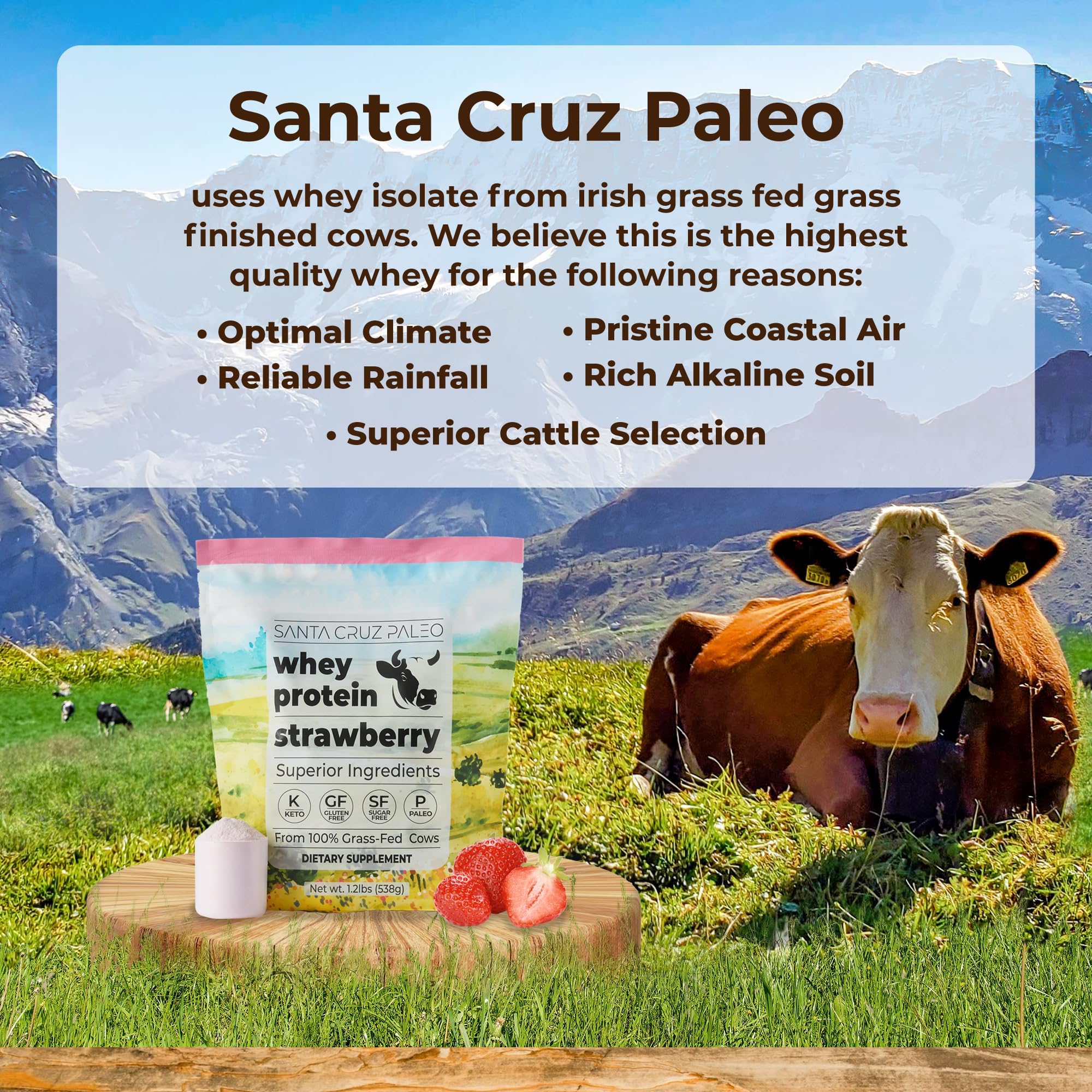 Santa Cruz Paleo cuchara con polvo de proteína listo para mezclar, facilita preparación rápida