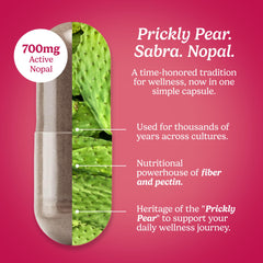 Santo Remedio polvo de nopal en primer plano detalle natural