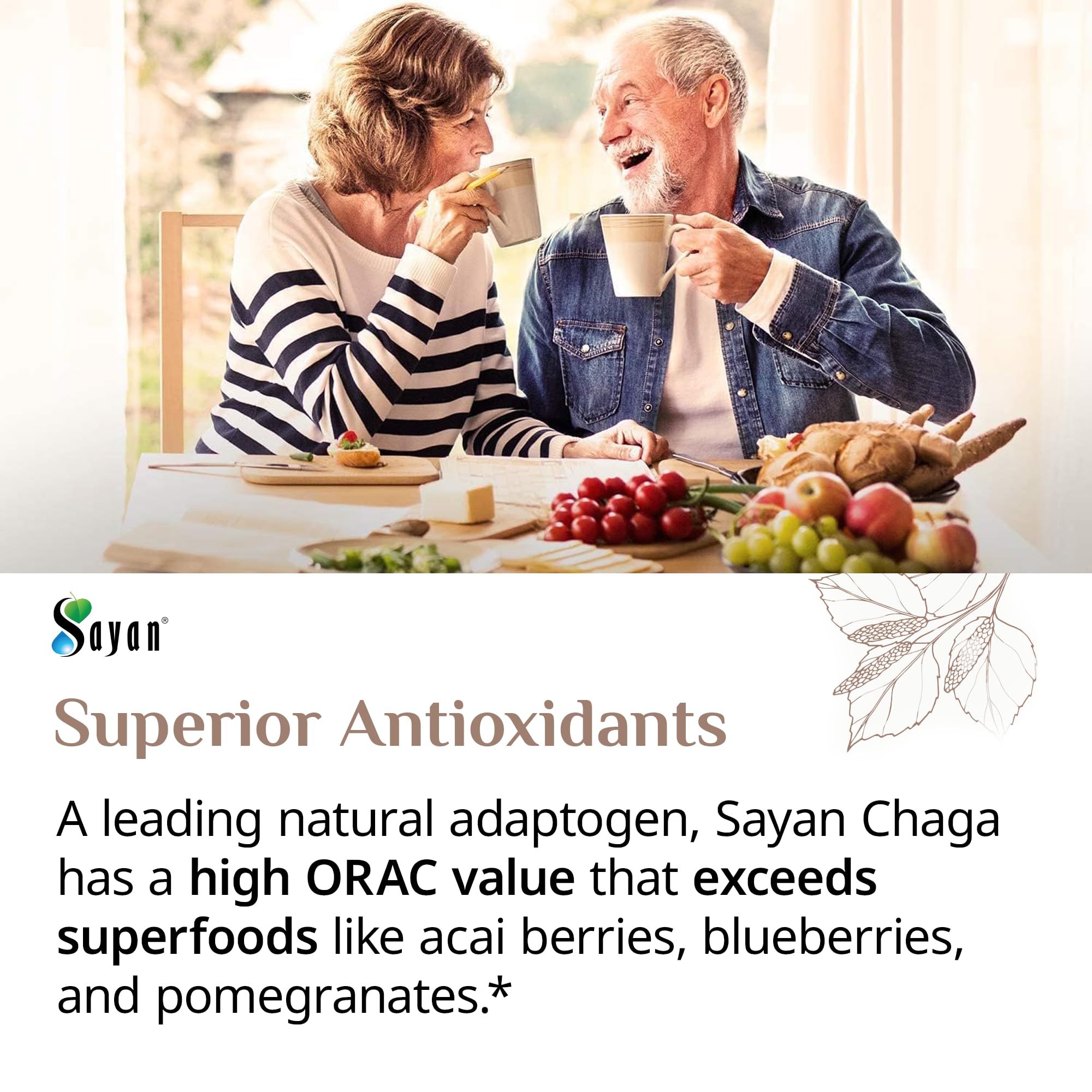 Sayan Chaga ritual diario, infusión tibia para enfoque suave.