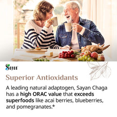 Sayan Chaga ritual diario, infusión tibia para enfoque suave.