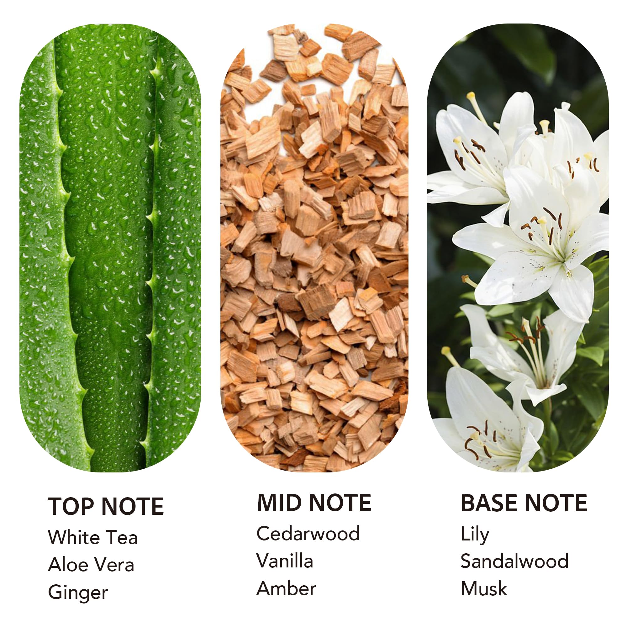 scent collection etiqueta detallada con nombre y notas, facilita identificación
