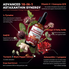 Scibalia textura del aceite liposomal en gotero, absorción optimizada y agradable