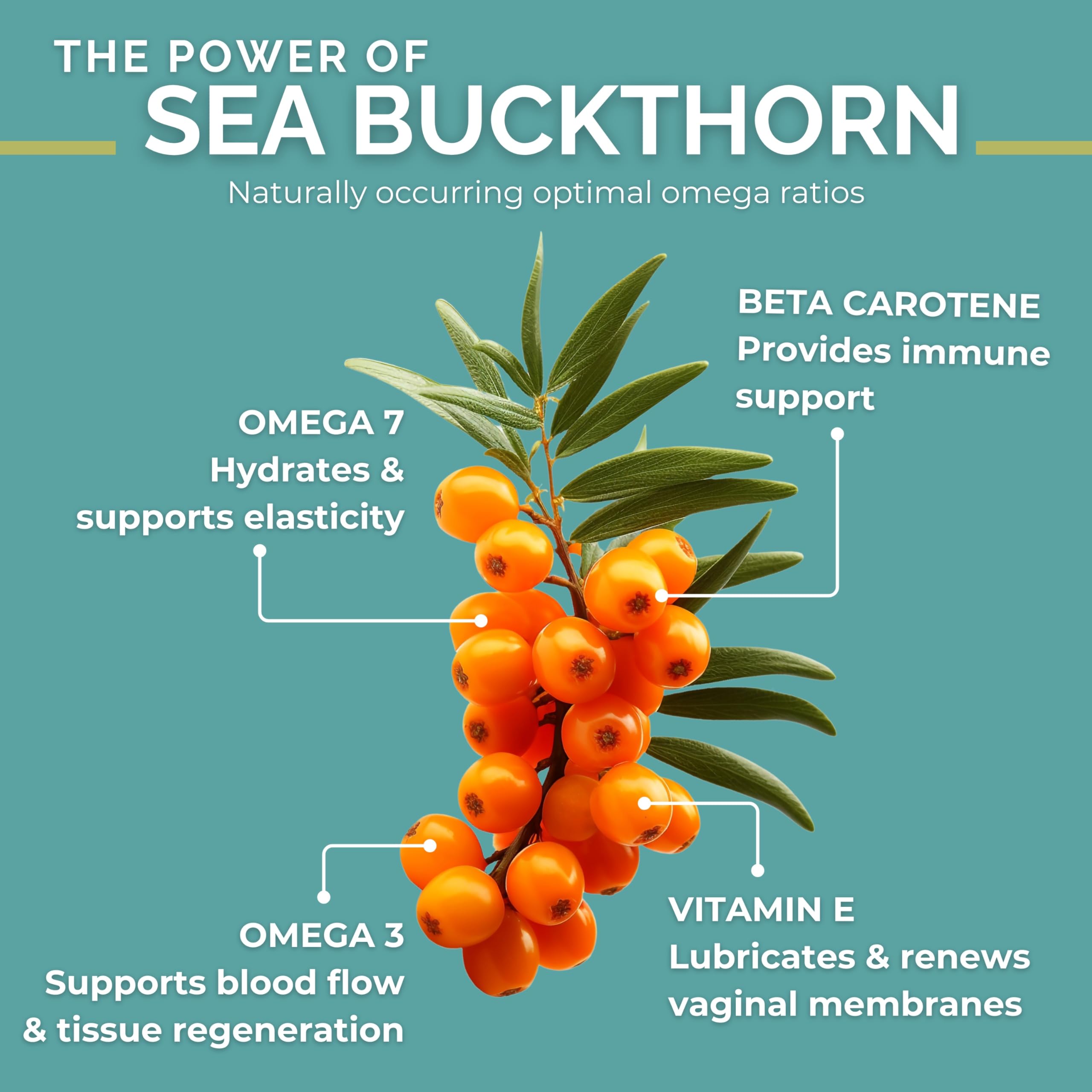 SEABUCKWONDERS gota de aceite muestra pureza y textura nutritiva