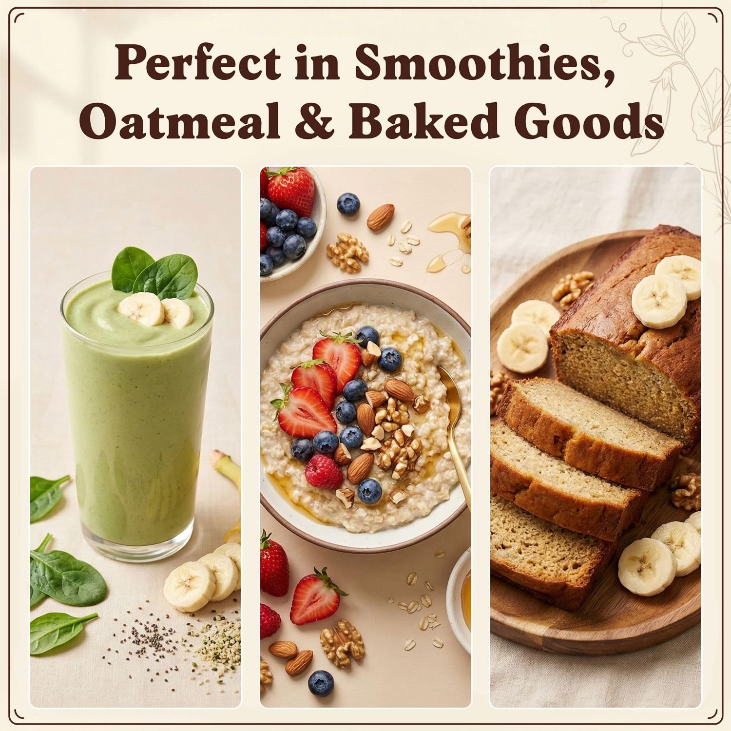 Seedboy en avena y frutas para receta nutritiva y versátil