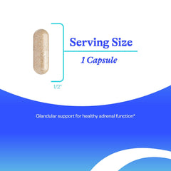 Seeking Health cápsula en mano para comparar tamaño y facilidad de uso