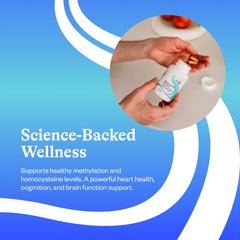 Seeking Health cápsulas en palma para comparar tamaño y dosis práctica