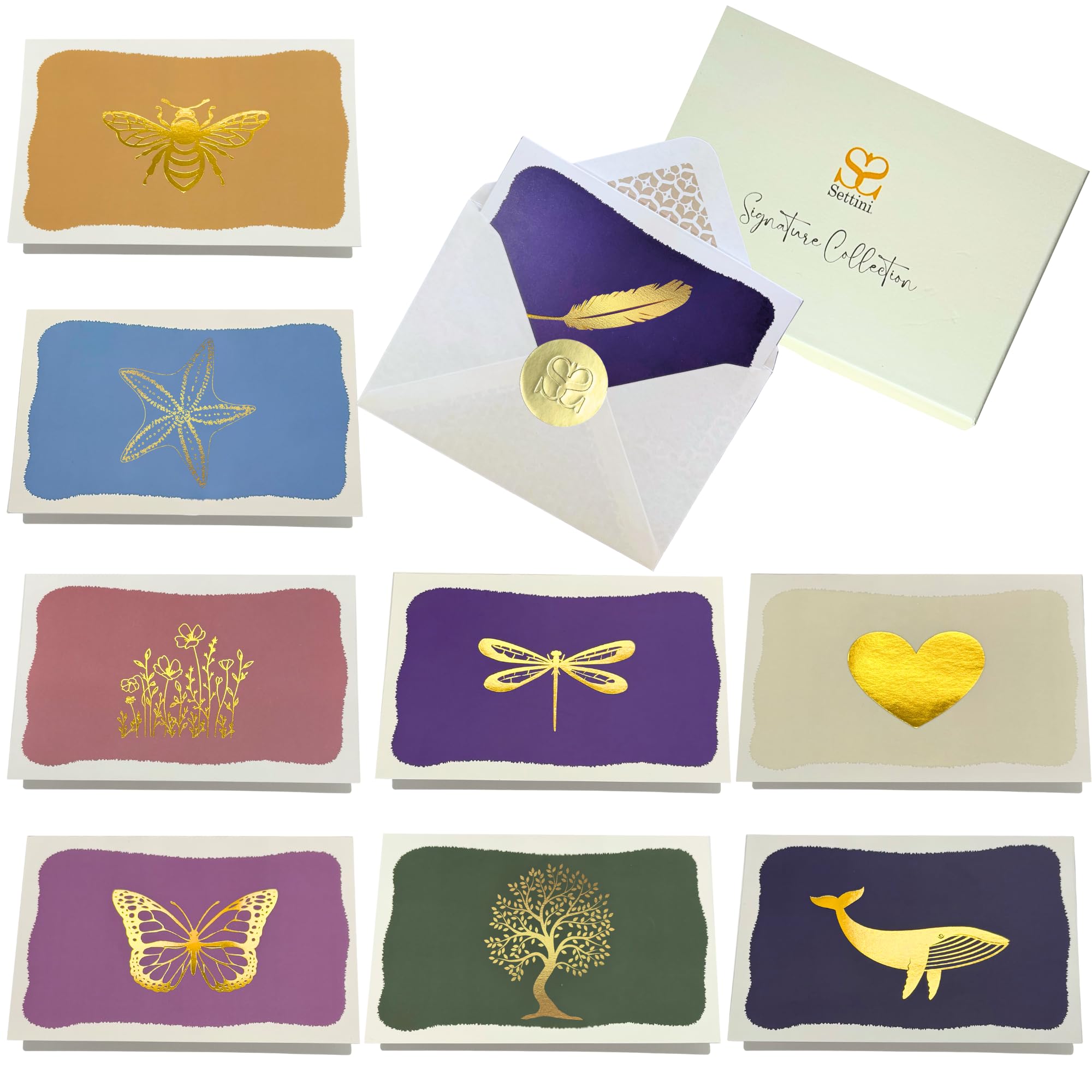 SETTINI frontal del estuche con tarjetas, elegante y práctico