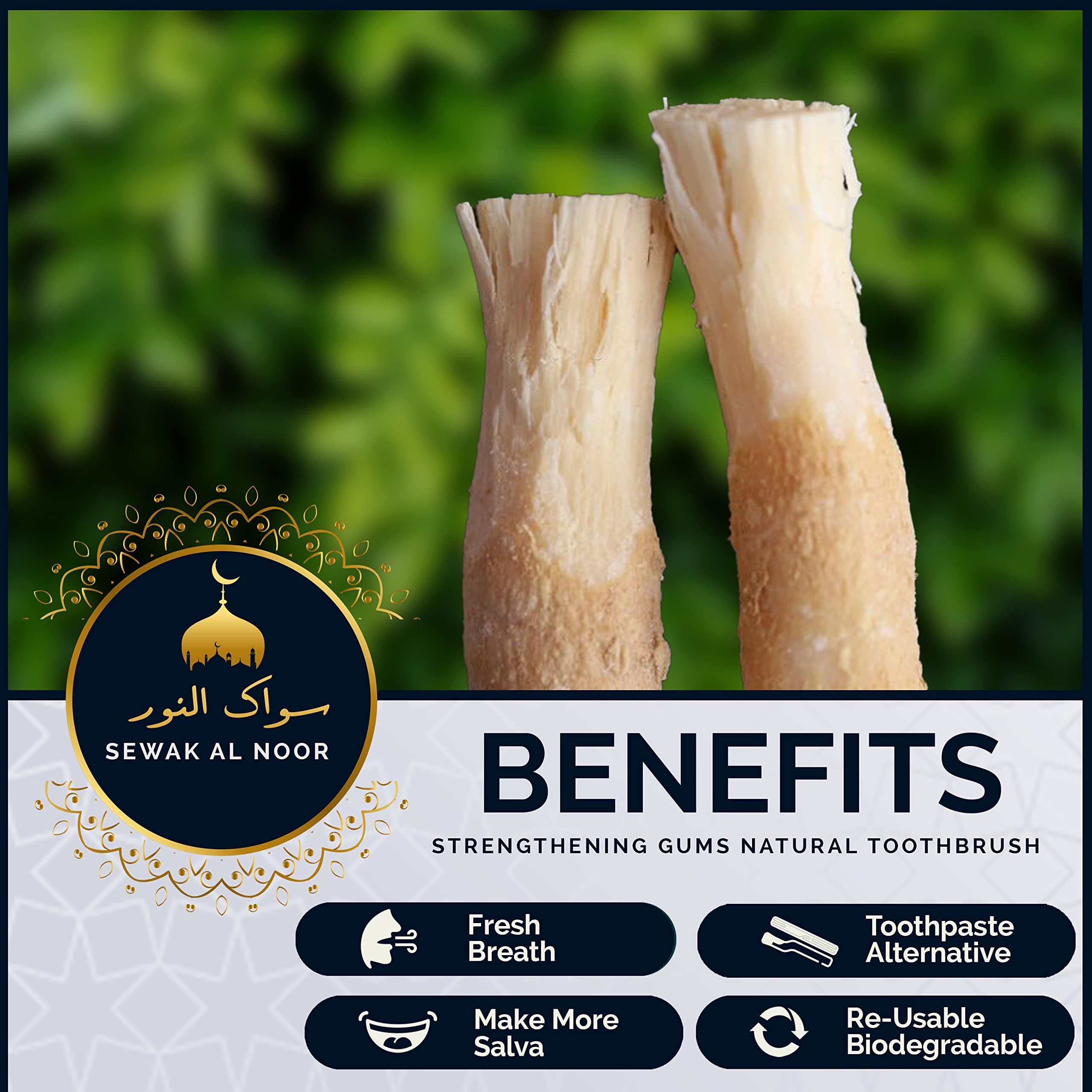 Sewak Al Noor palito miswak junto a una regla para comparar tamaño y facilitar elección
