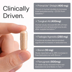 Sheer Strength Labs ingredientes clave como Shilajit PrimaVie en enfoque