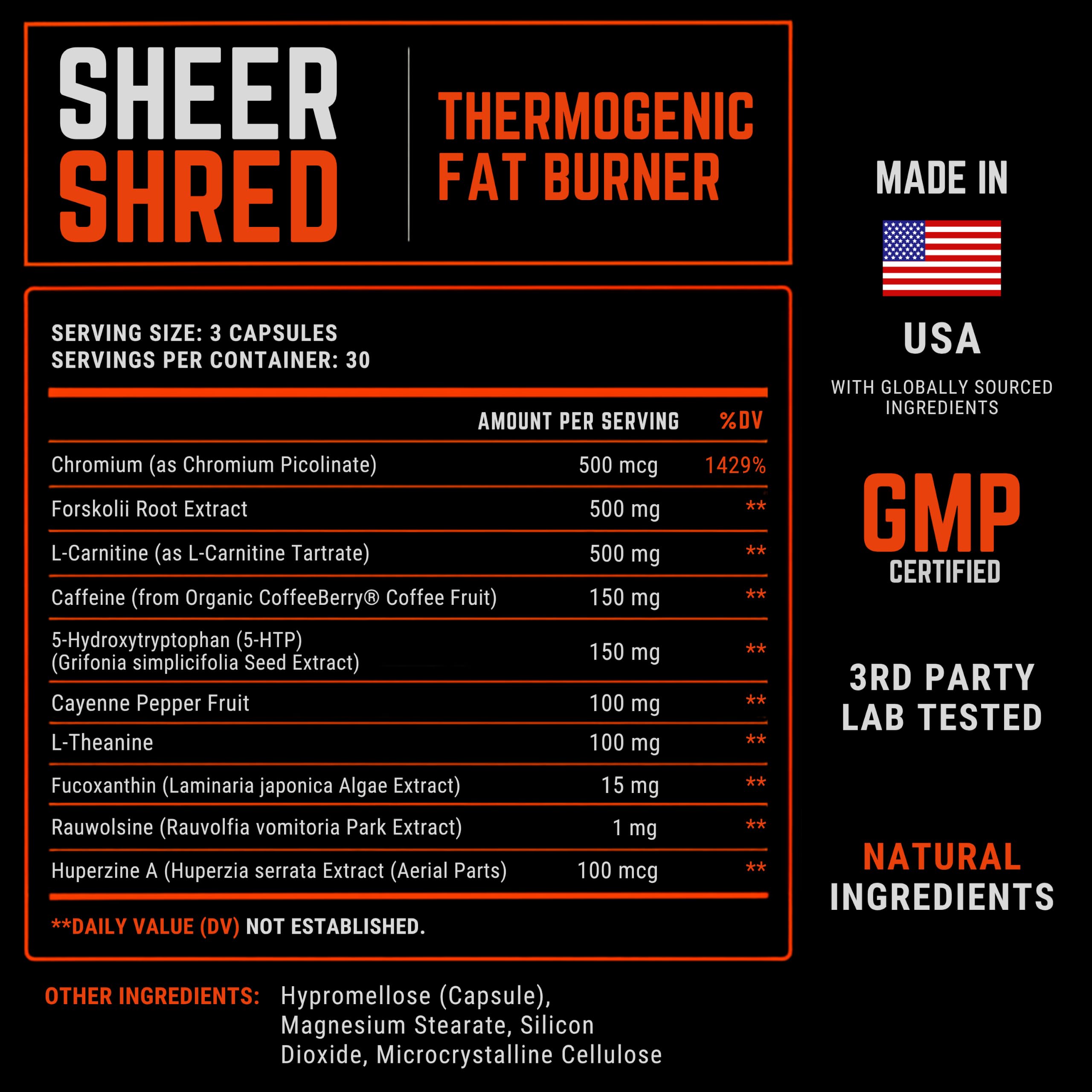 Sheer Strength Labs estilo de vida activo mostrando energía y foco