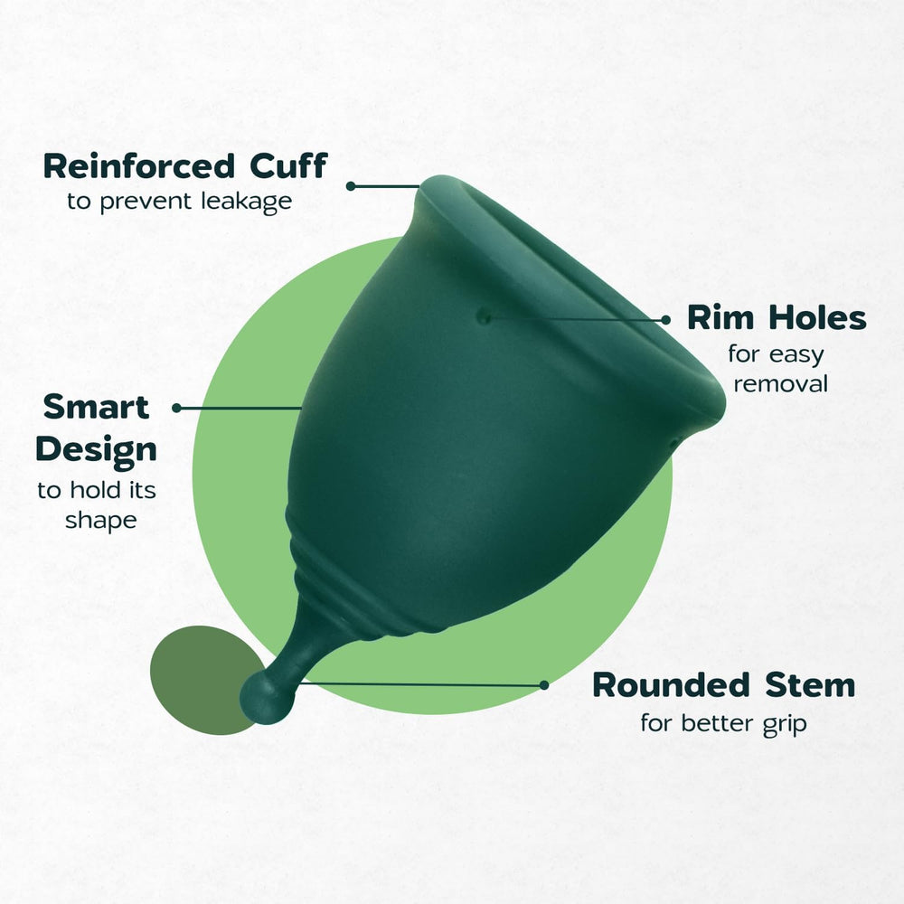 SHORDY caja y bolsa de almacenamiento para guardado seguro