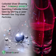 SilverGuard botella junto a una moneda para comparar tamaño y porción práctica