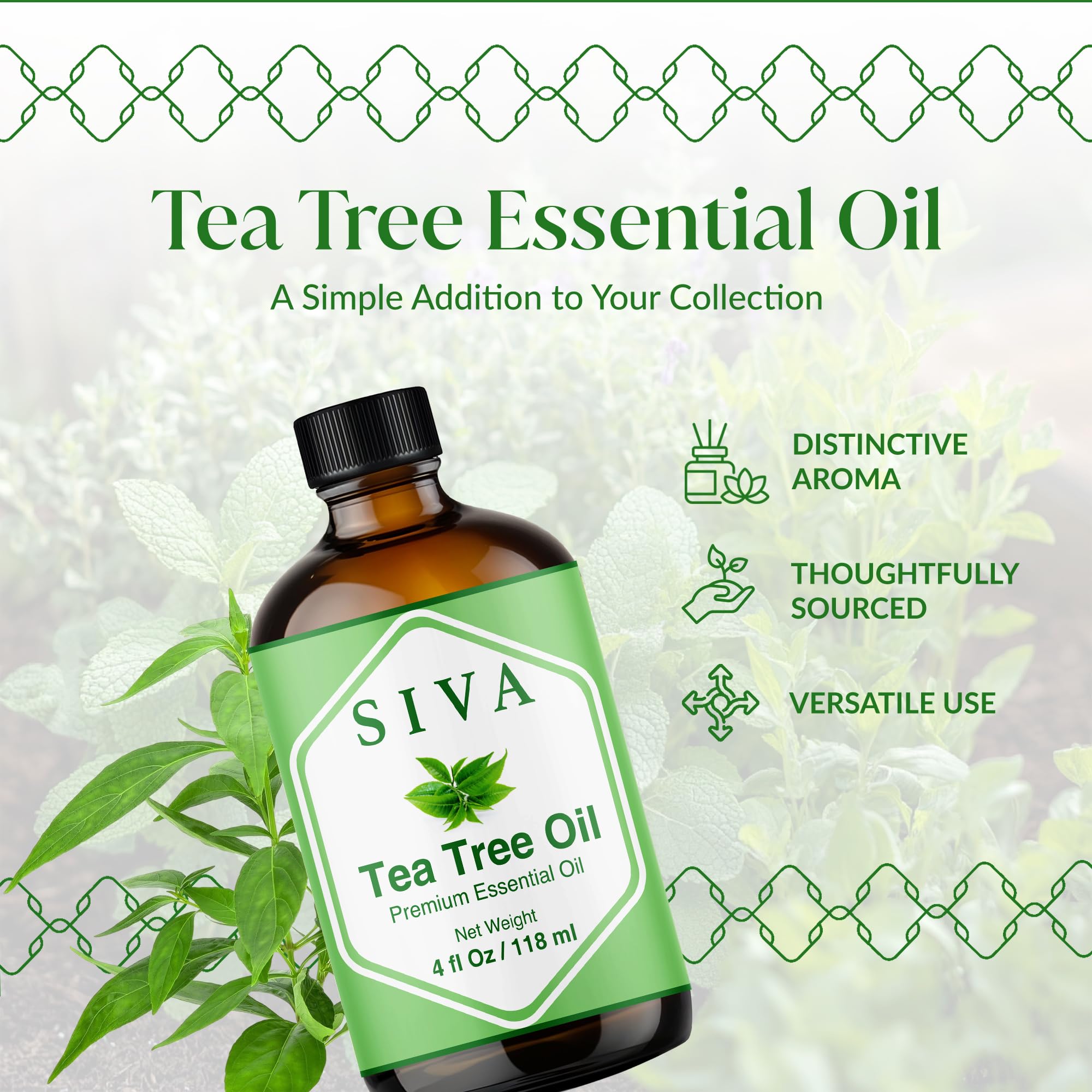 Siva Tea Tree botella ámbar protegida de la luz, conserva la fragancia y calidad
