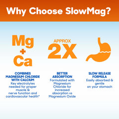 Slow-Mag tableta partida mostrando revestimiento entérico interno