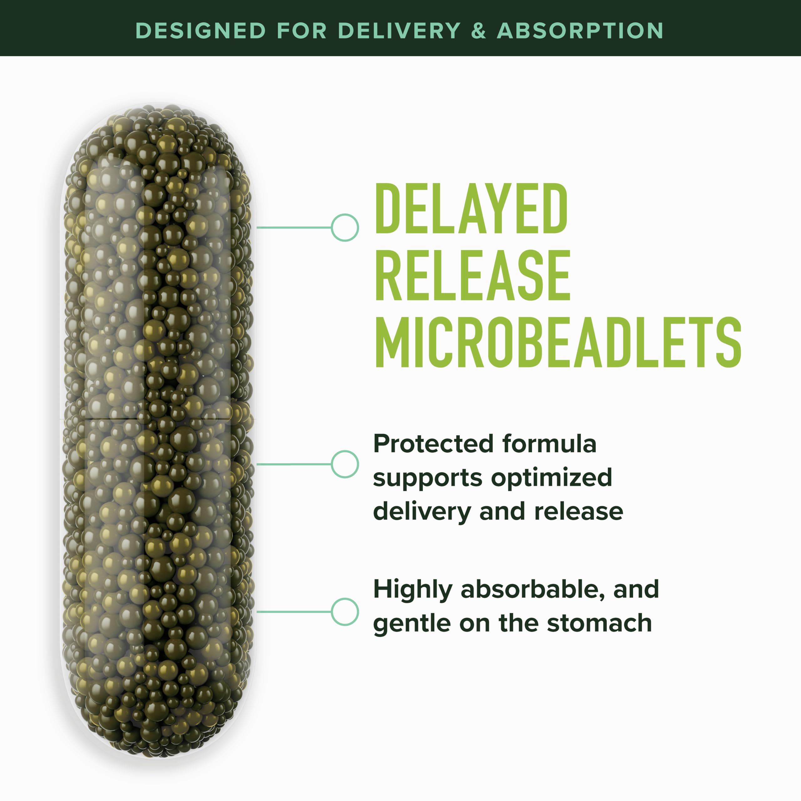 SMNutrition brotes de brócoli ilustrando origen vegetal del sulforafano