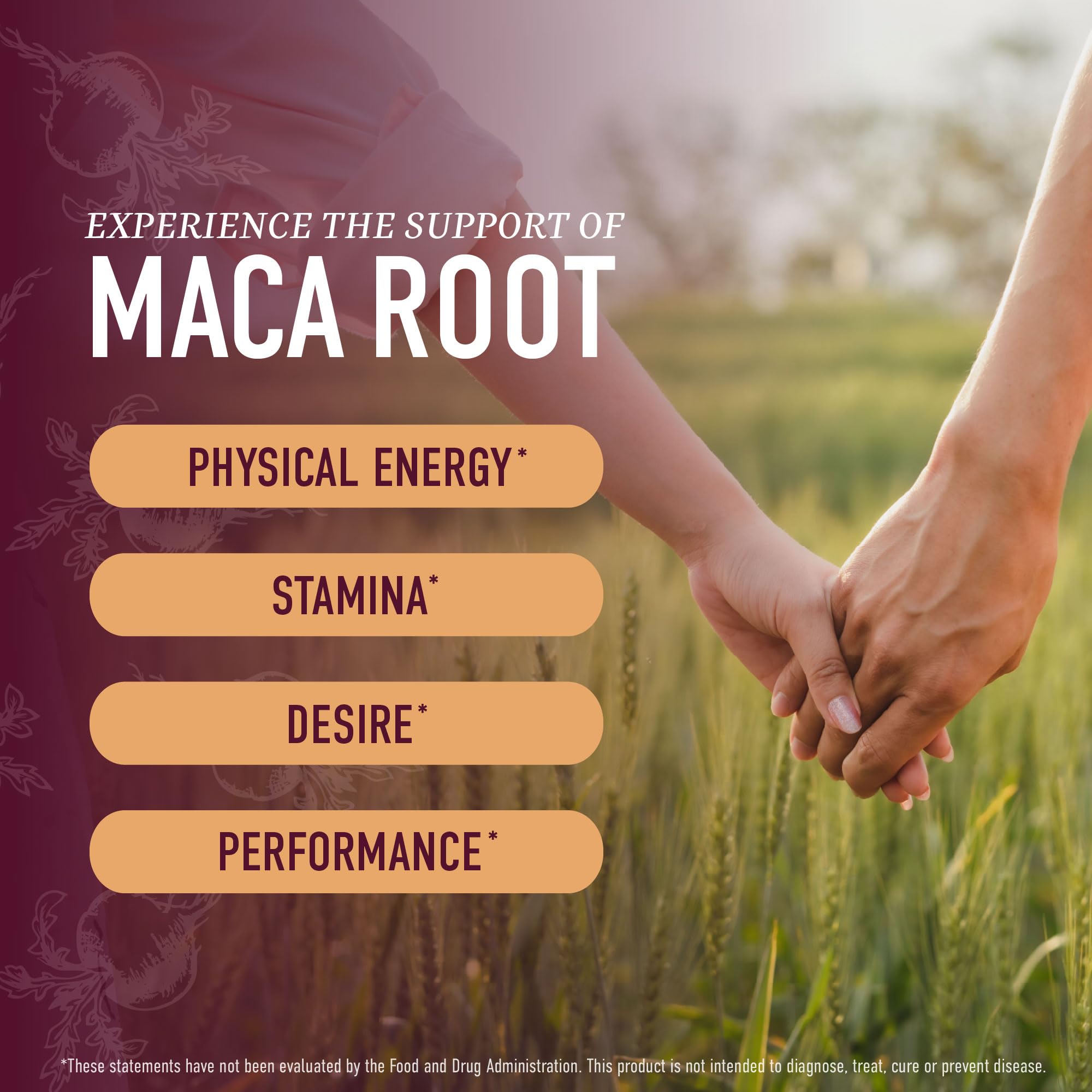 Detalle de la textura gomosa de SMNutrition Maca Root que ilustra fácil masticación