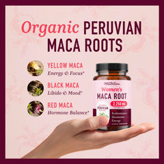 SMNutrition polvo de maca en primer plano mostrando textura concentrada y digestión mejorada