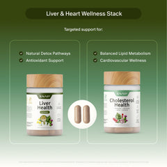 Snap Supplements comparación de tamaño con moneda para verificar dimensiones reales