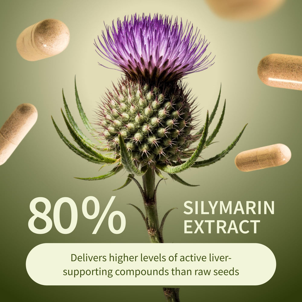 Snap Supplements ingredientes secos: cardo mariano y cúrcuma, aporta claridad