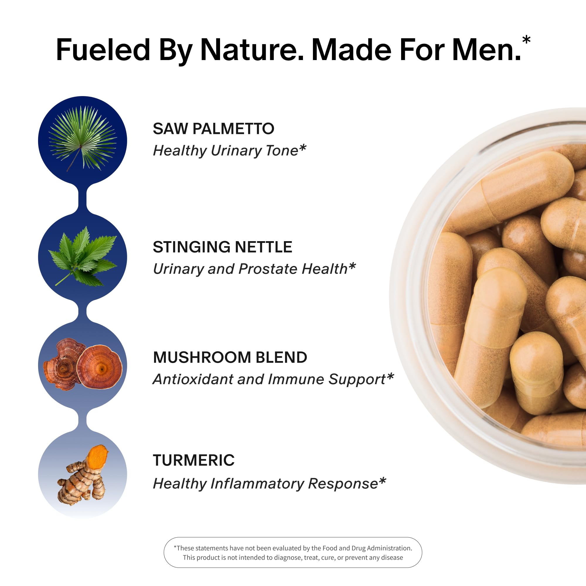 Snap Supplements caja con etiqueta completa que muestra ingredientes