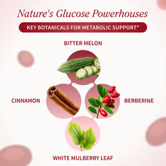 Snap Supplements textura cercana de cápsula vegana, enfatiza pureza