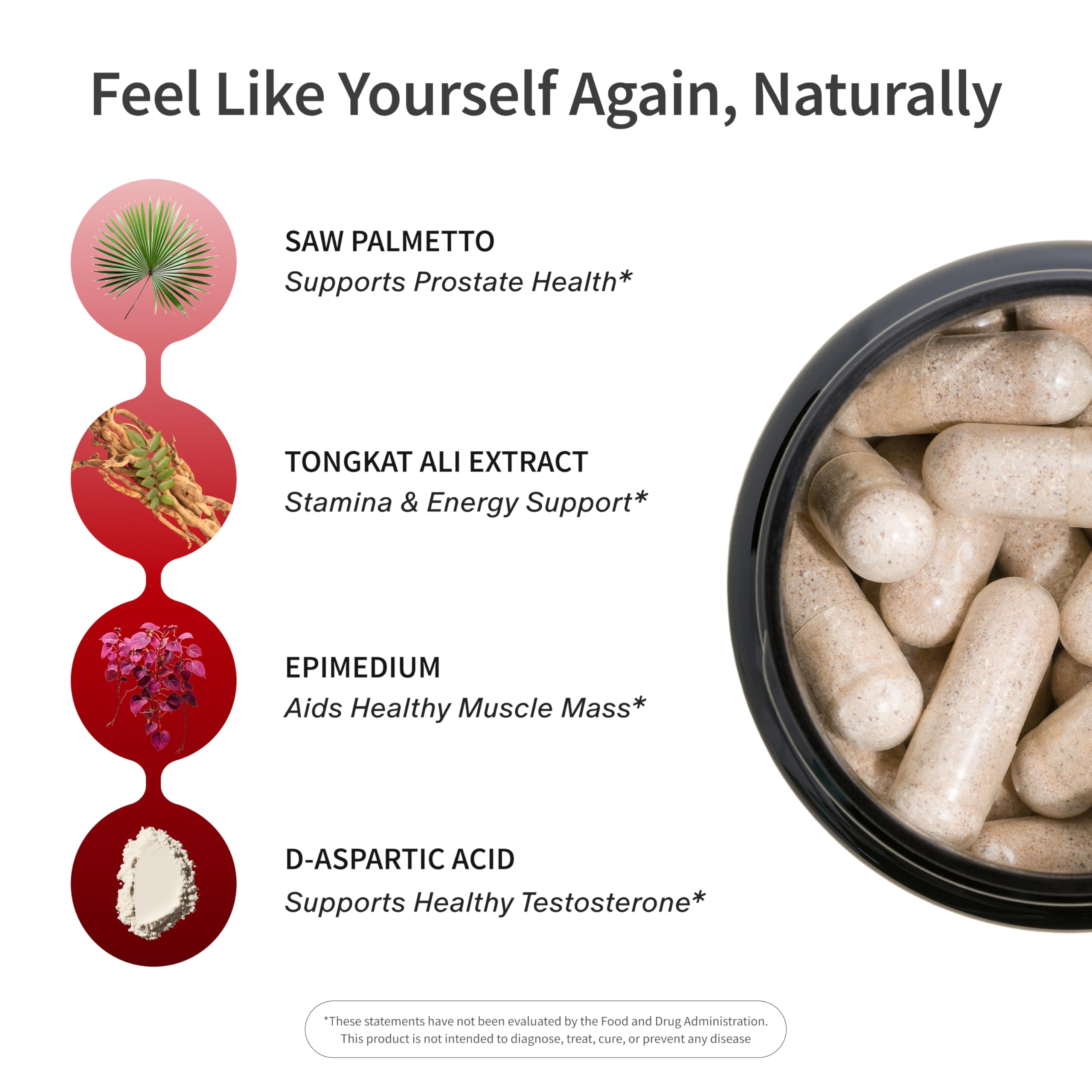 Snap Supplements cápsula abierta mostrando textura y absorción mejorada