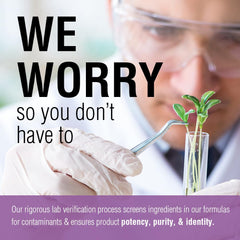 SOLARAY Andrographis extracto 600 mg, dosis diaria, apoyo potencial para la vía respiratoria.