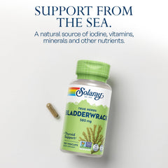 SOLARAY close-up de bladderwrack en su textura natural, fuente de minerales