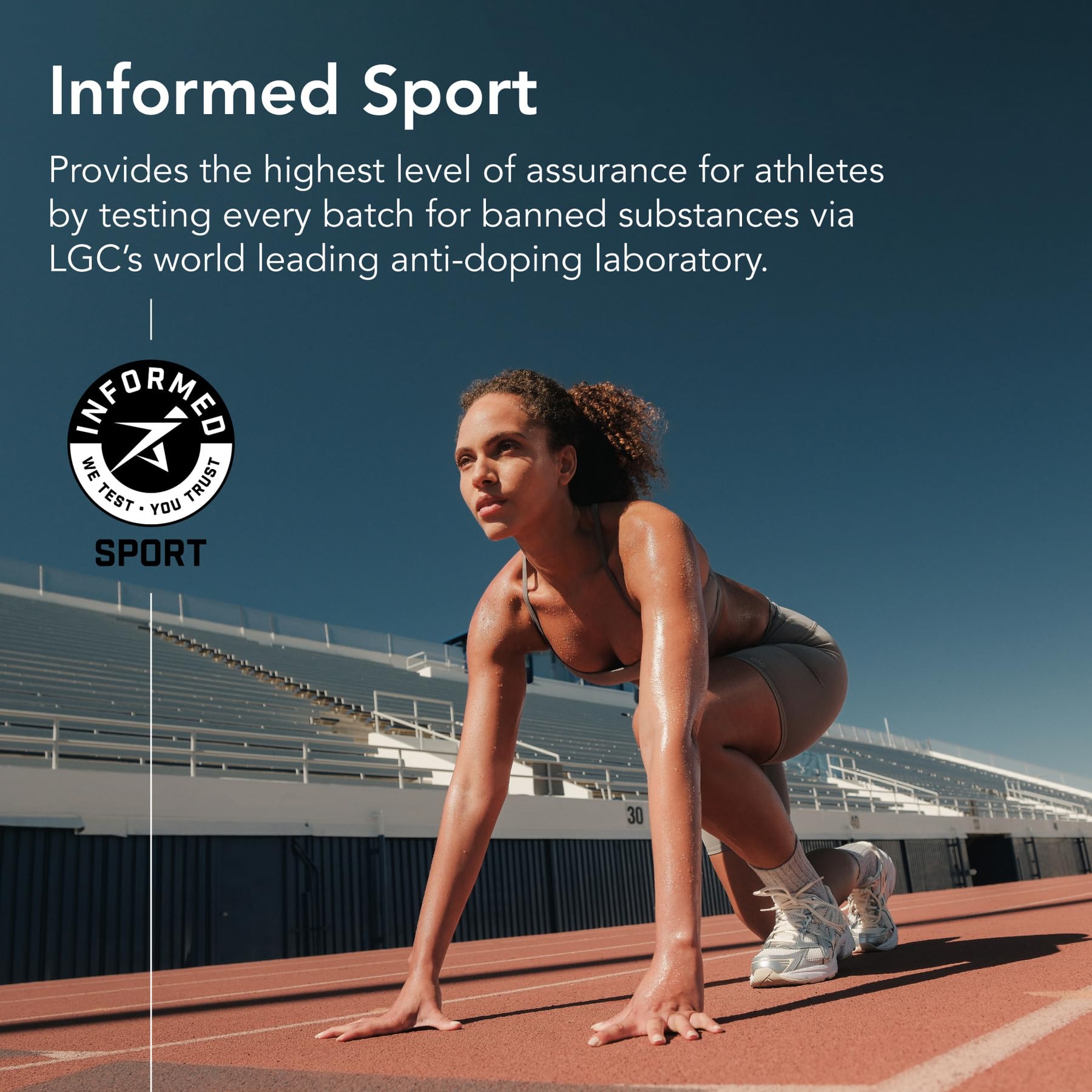 Sports Research bolsa 2 lb comparada con objetos para referencia de tamaño