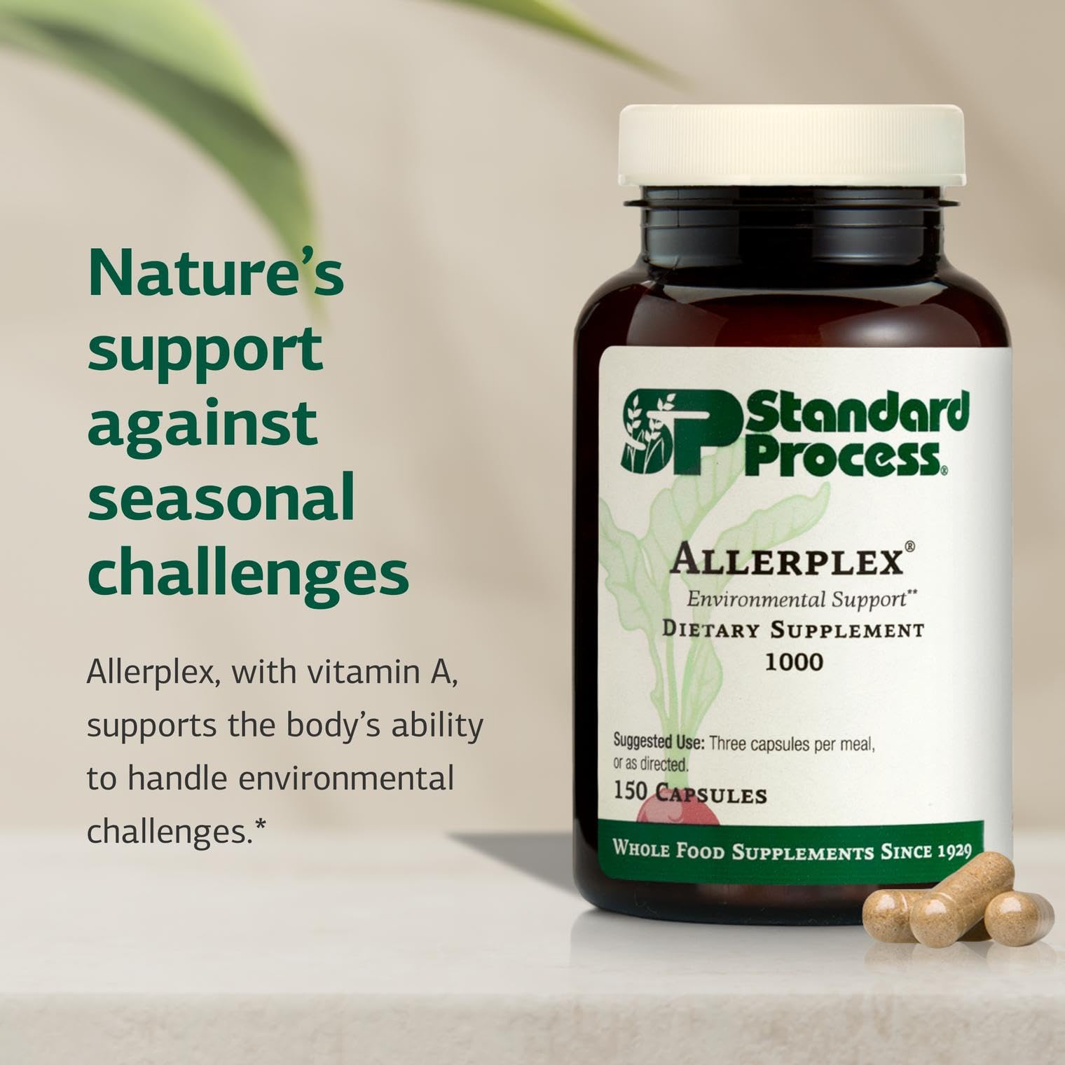 Ingredientes PMG usados en Allerplex expuestos, Standard Process, apoyo natural