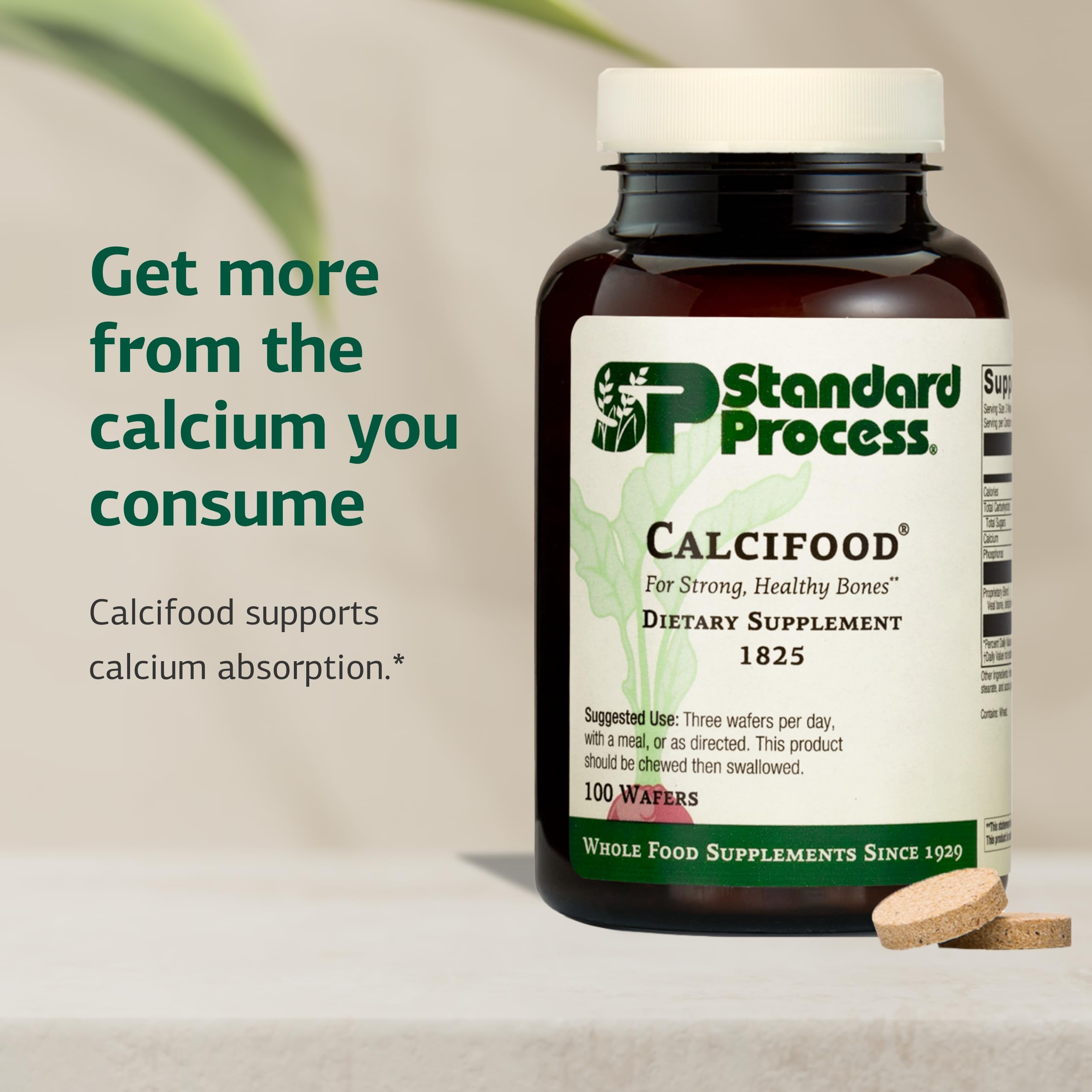 Standard Process Calcifood textura wafer detalle, superficie y densidad visibles