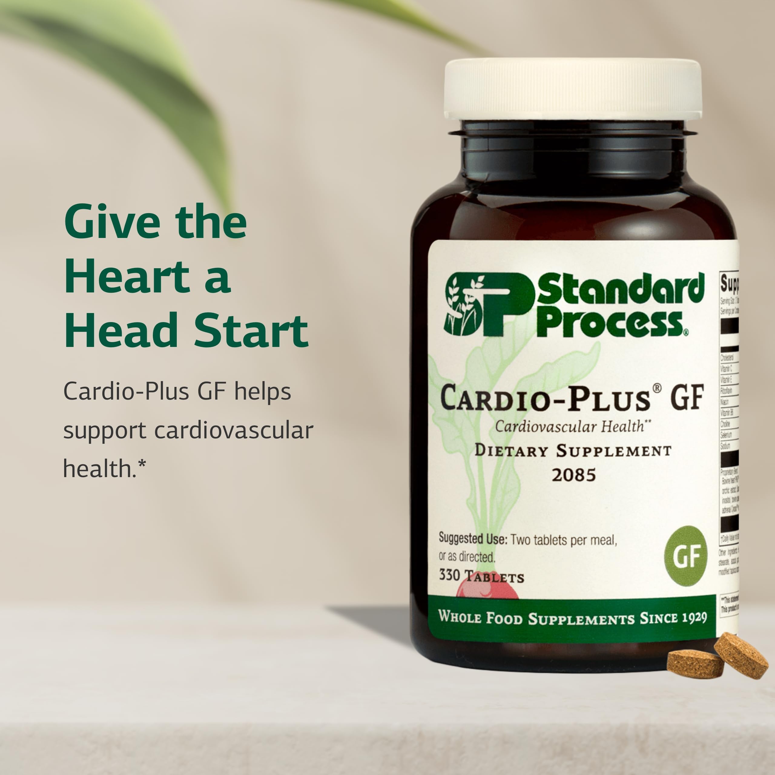 Ingredientes clave en Cardio-Plus GF de Standard Process con vitaminas para circulación