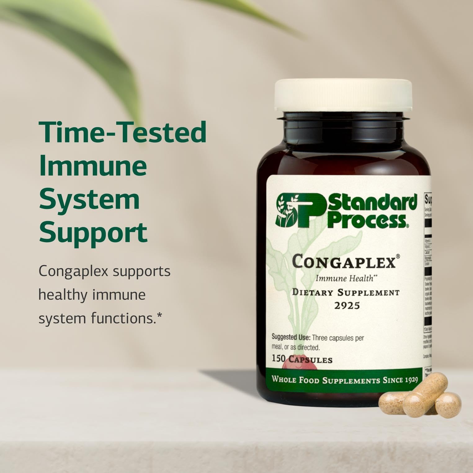Standard Process Congaplex ingredientes principales en primer plano para claridad
