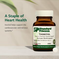 Standard Process Inositol textura de la tableta en primer plano, evidencia su formulación sólida y manejo práctico