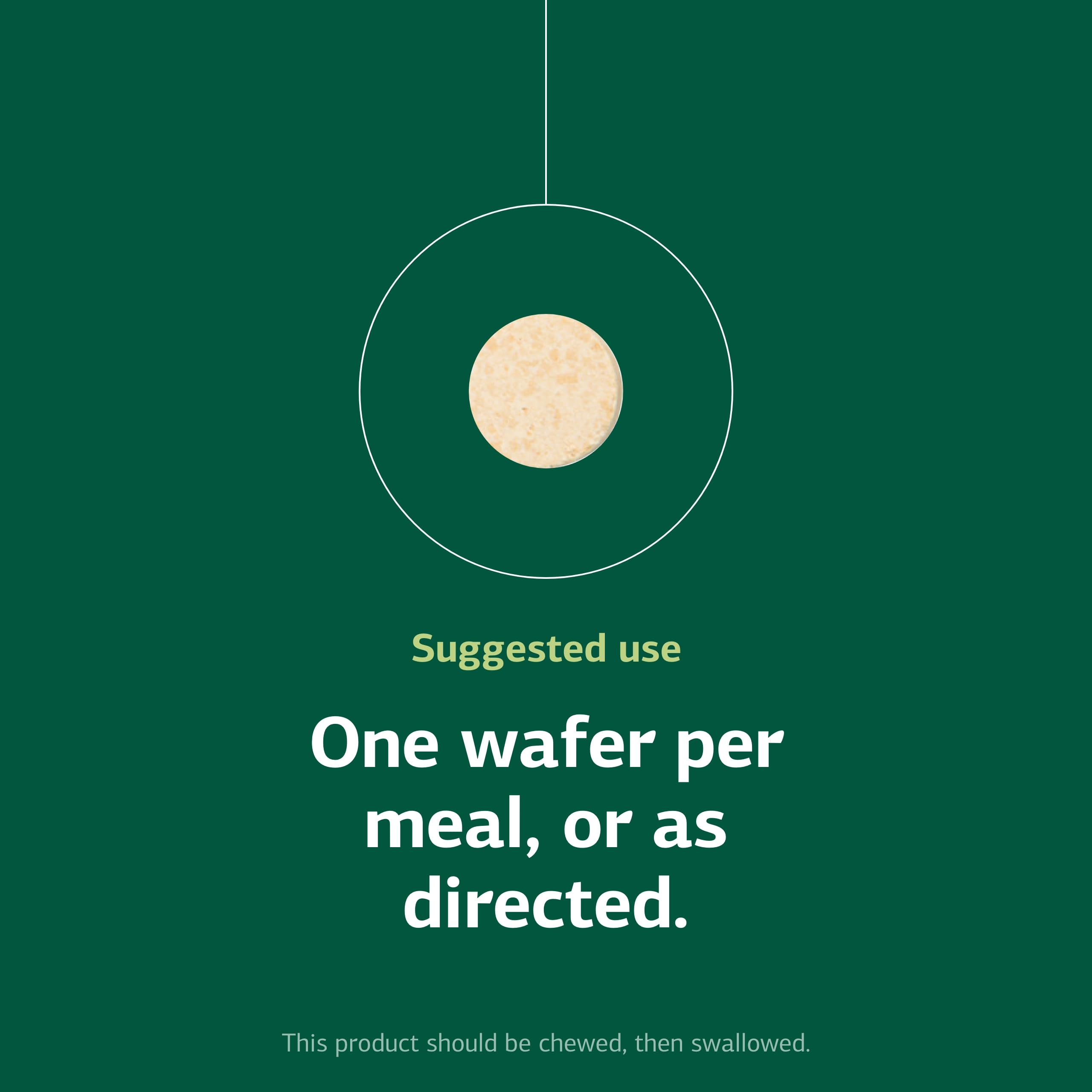 Standard Process wafer junto a moneda para comparar tamaño práctico