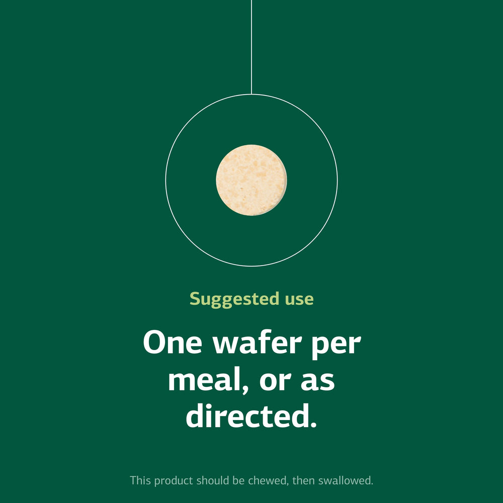 Standard Process wafer junto a moneda para comparar tamaño práctico