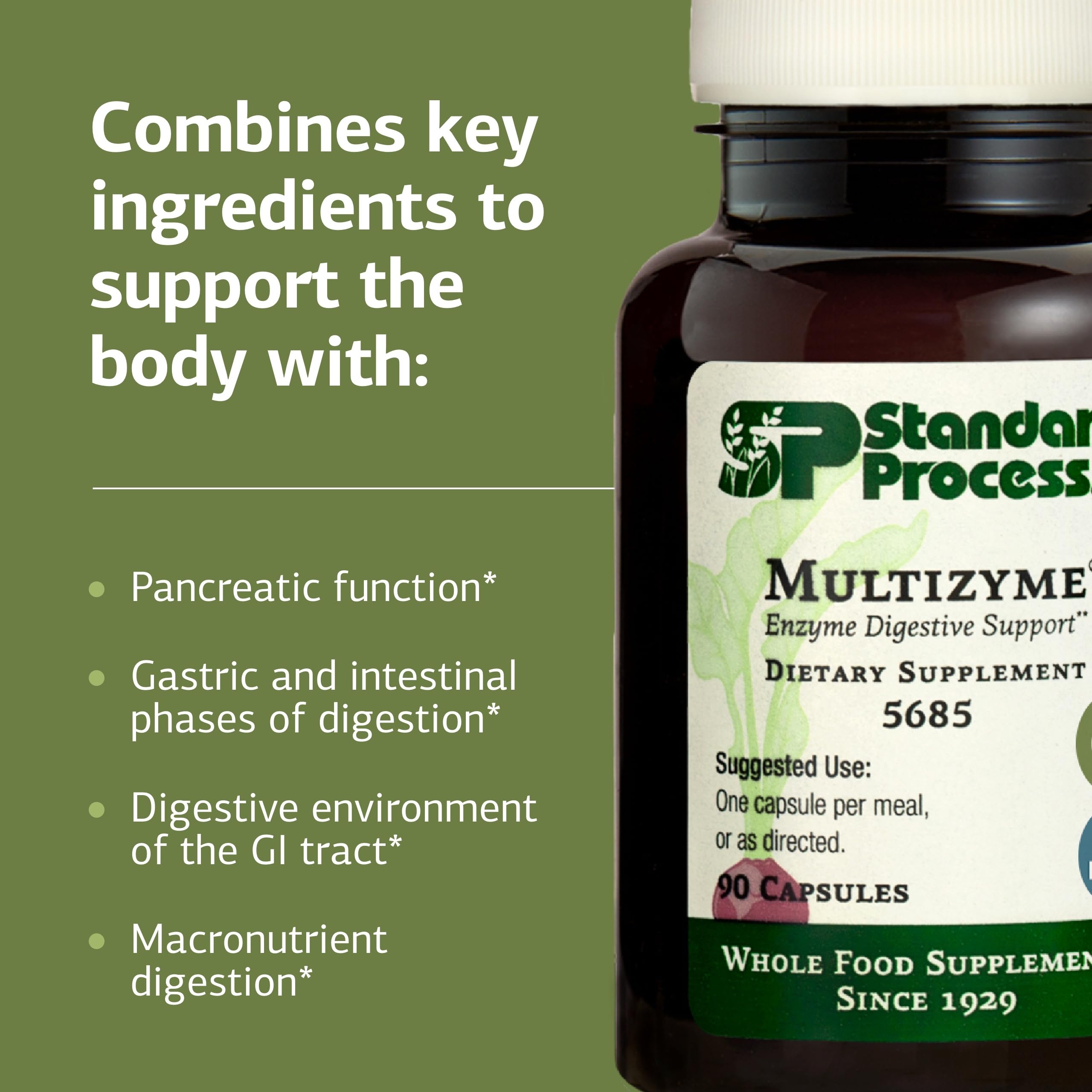 Standard Process Multizyme en mano muestra tamaño práctico