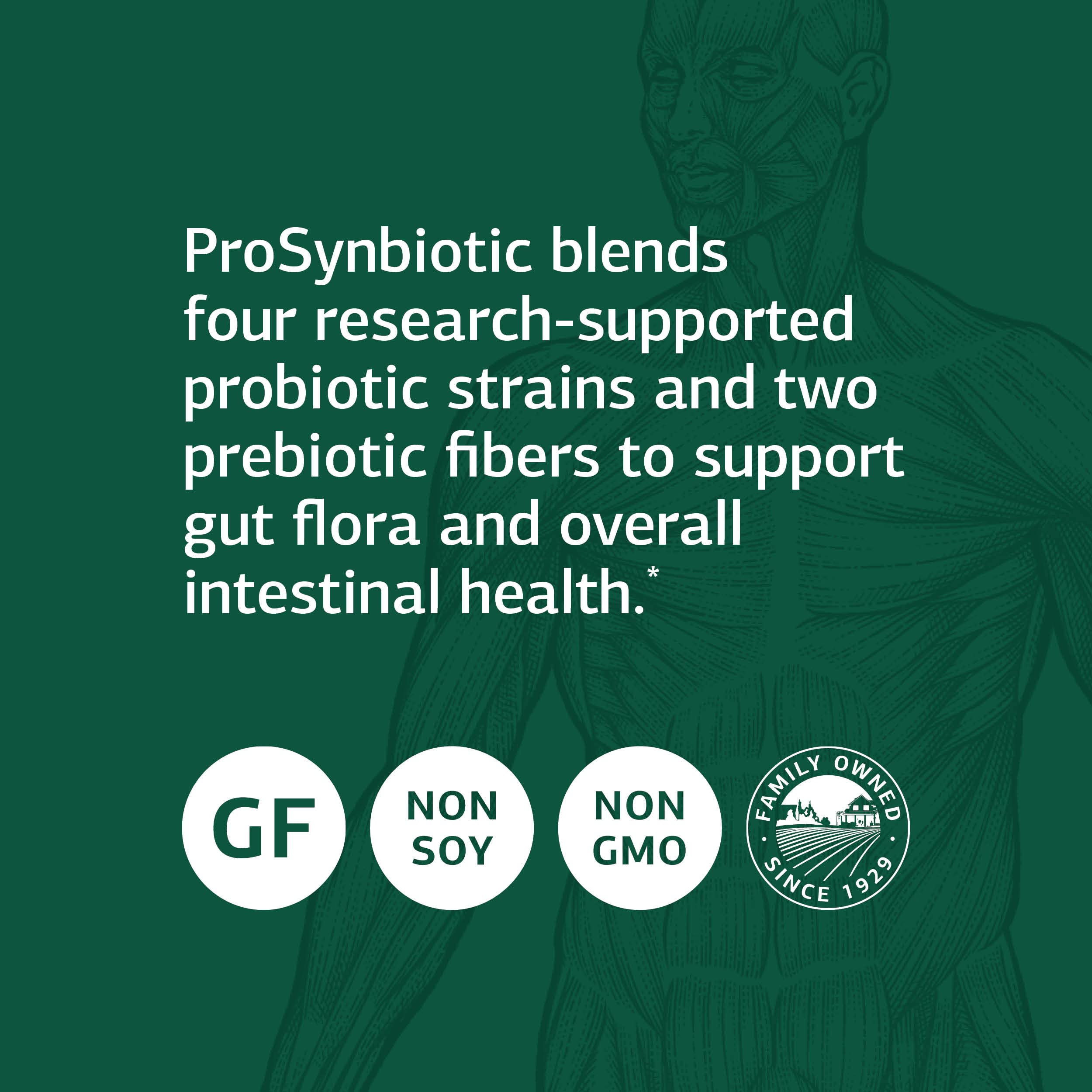 Standard Process ProSynbiotic comparado con una moneda para escala y dosis