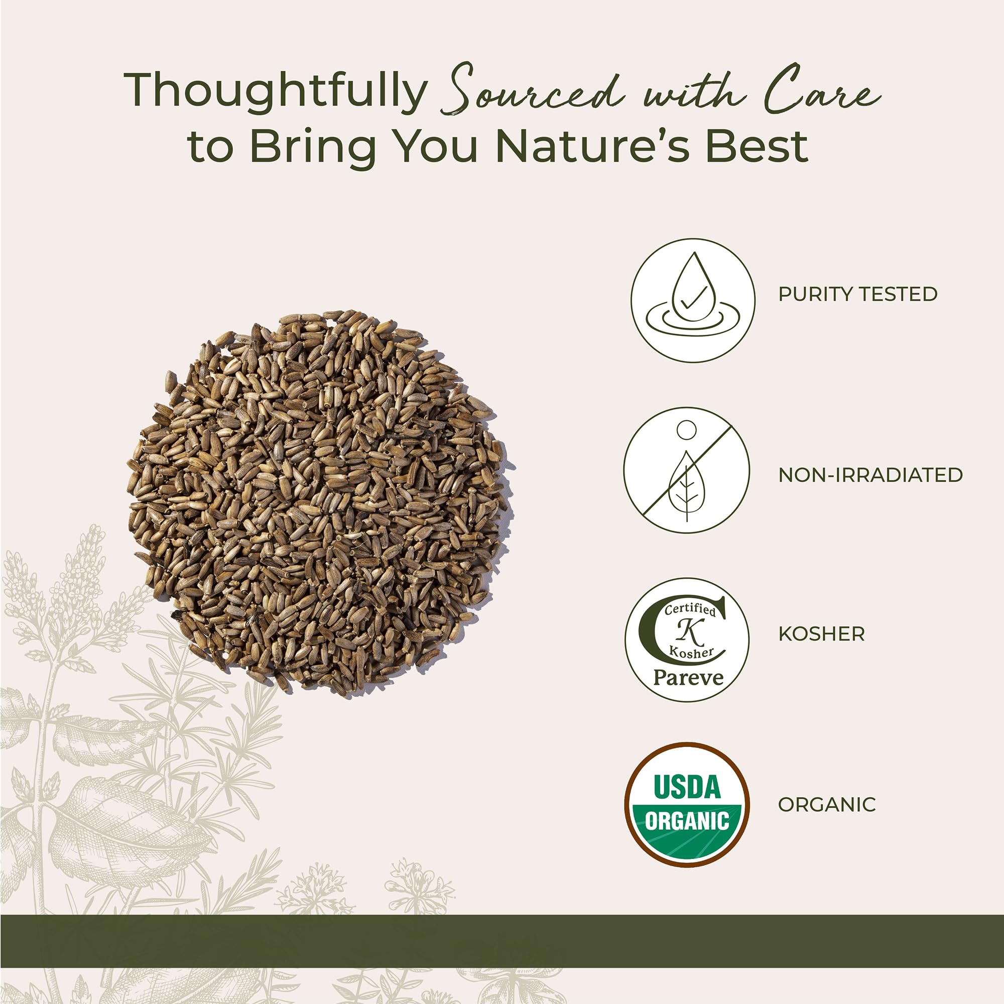 Starwest Botanicals taza de té preparado con semillas, bebida lista para consumir