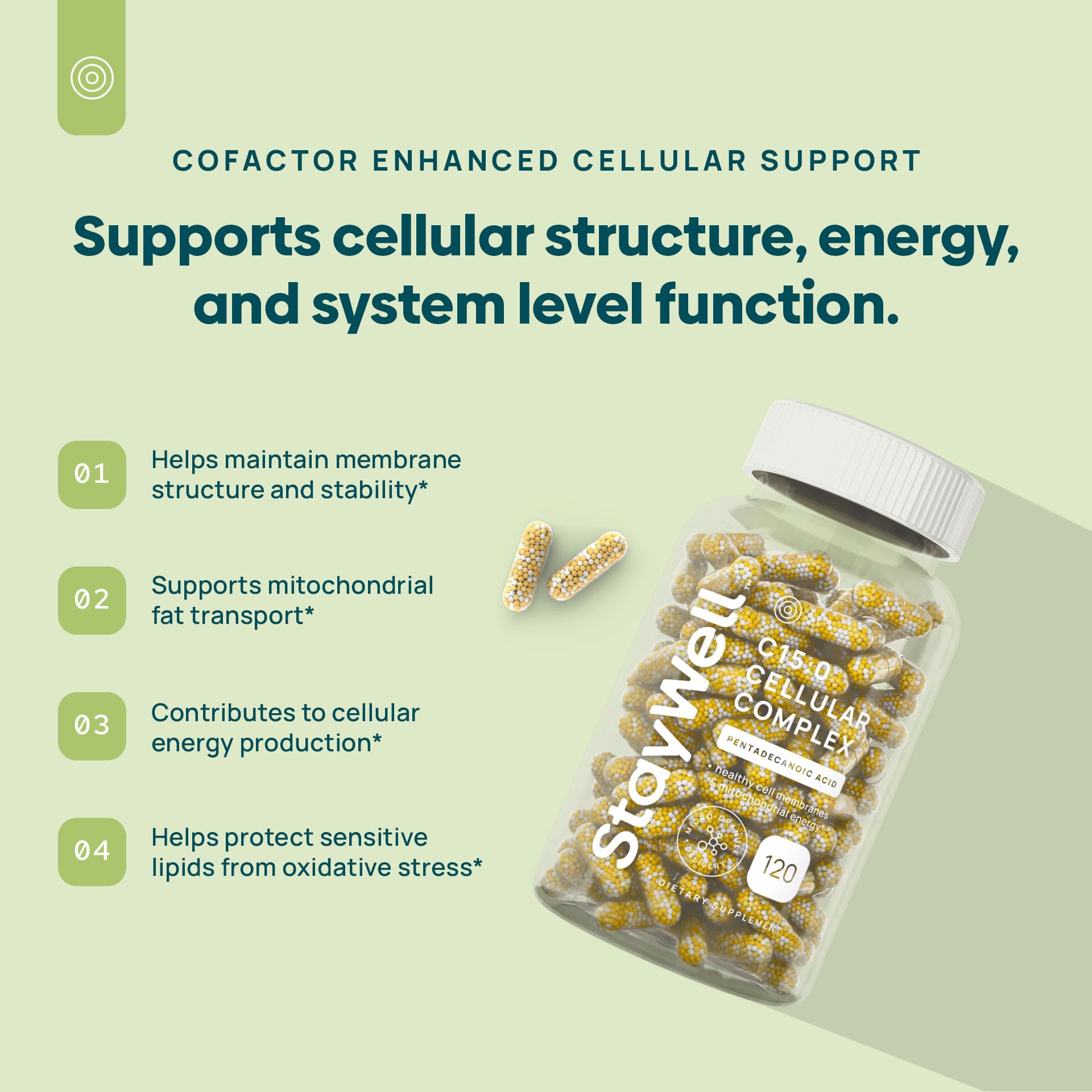 Stay-Well Naturals cápsulas micro-gránulo cercanas que muestran mejor tolerancia digestiva